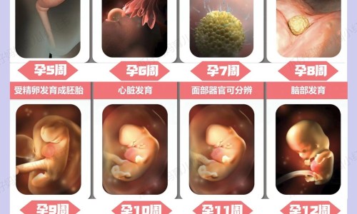 怀孕可以吃黄糖吗？怀孕吃什么比较好