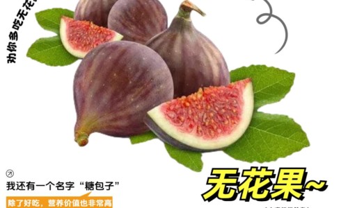 苹果热饮-【苹果热饮】苹果热饮 - 苹果热吃法网