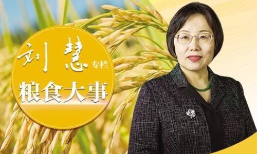 苹果热饮的做法-【苹果热饮】苹果热饮 - 苹果热吃法网